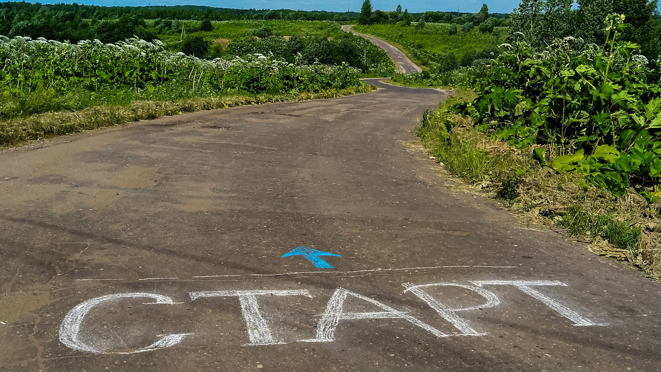 Чувство дикого зверя