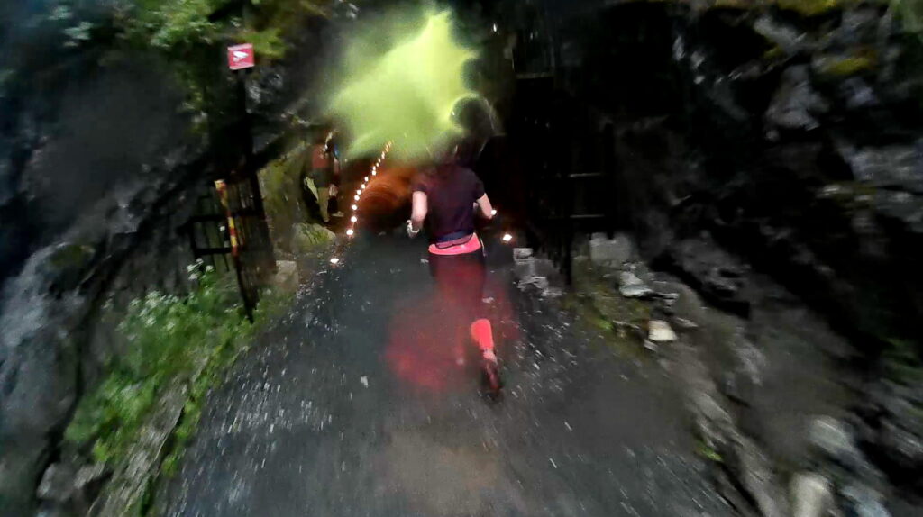 Карельский вирус