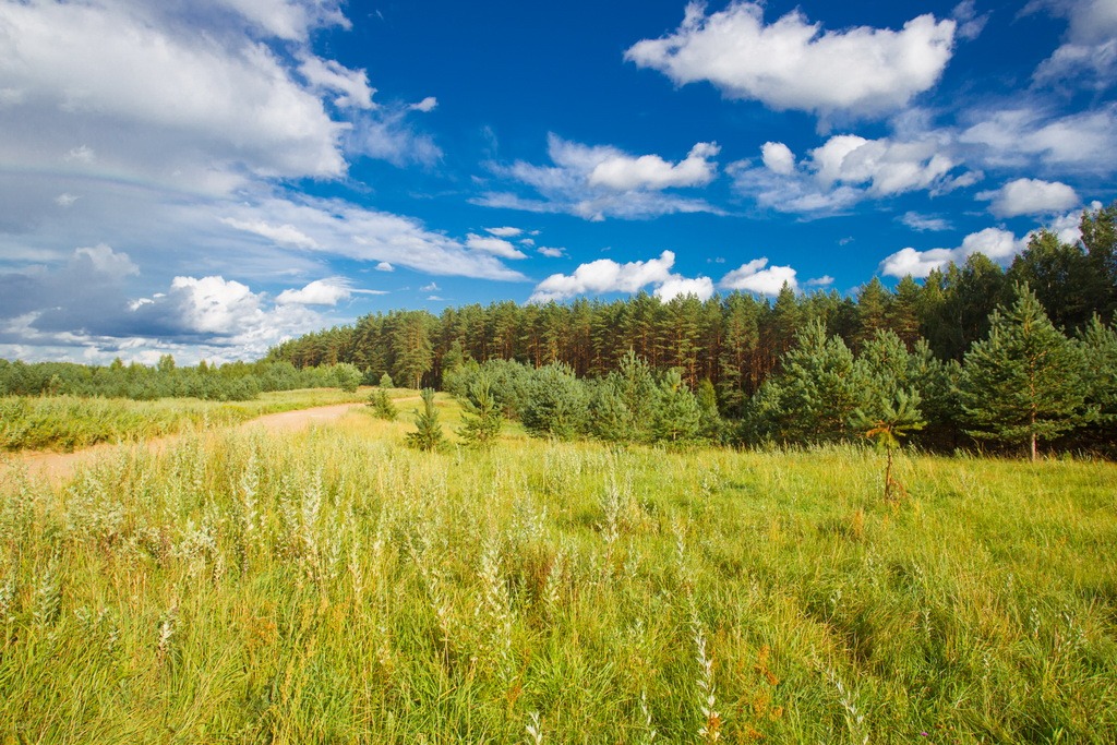 Испытание озерами и... бабочками